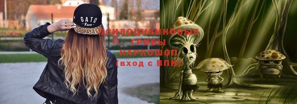 мяу мяу мука Касимов