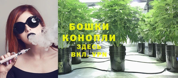 соль ск Иннополис
