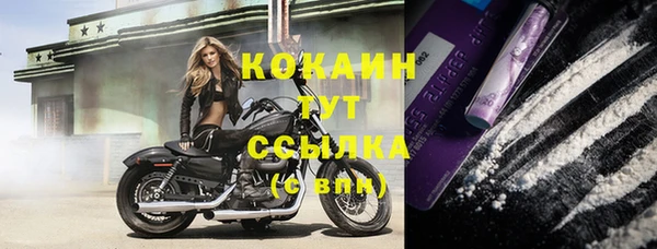 MDMA Каменногорск